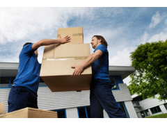 Rego Park Movers