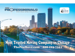 The Professionals Moving Specialists