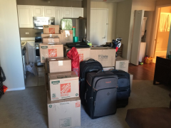 Packed Moving Services
