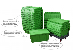 Leafy Moving Boxes