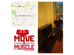 Move A Muscle Movers