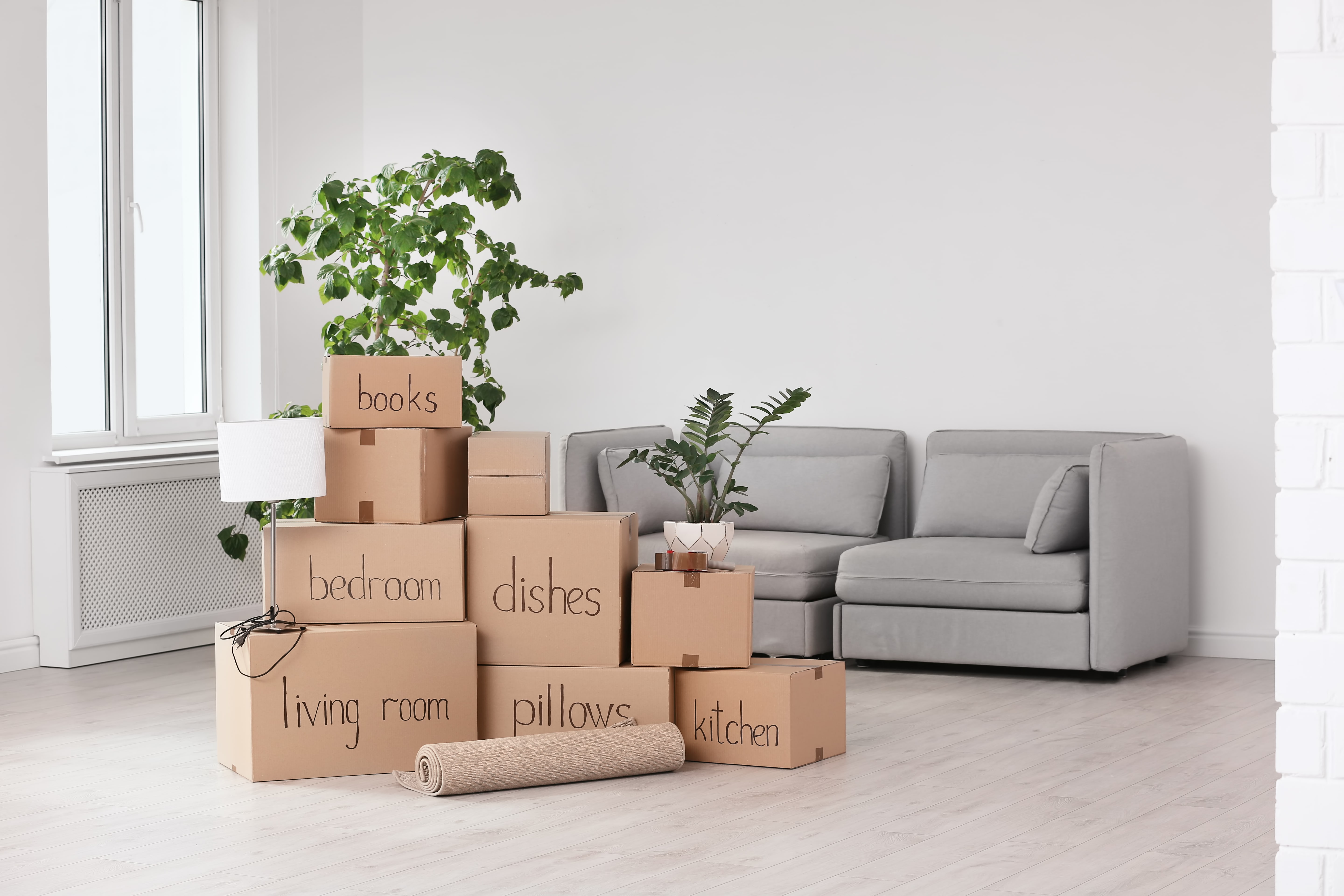 cheap moving companies bronx