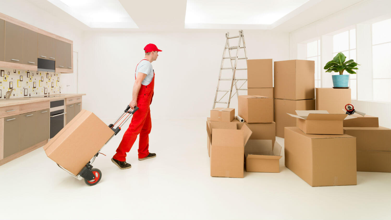 Moving Services Toronto